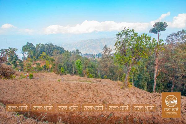 6 Ropani Land On Sale at KhariBhanjyang , Nuwakot.