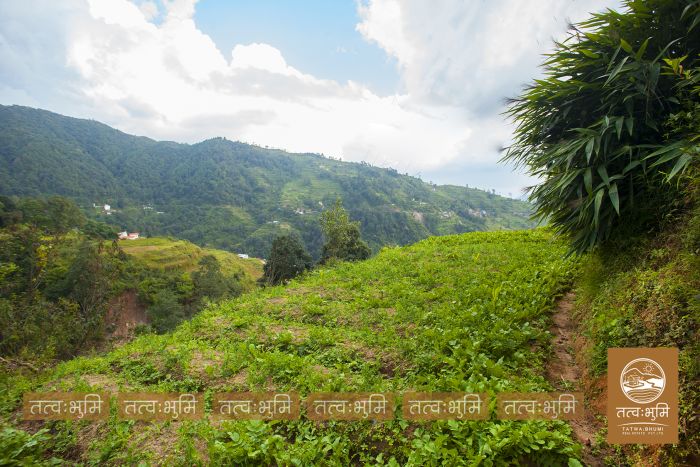 1 Ropani Land On Sale at Okharpauwa, Nuwakot