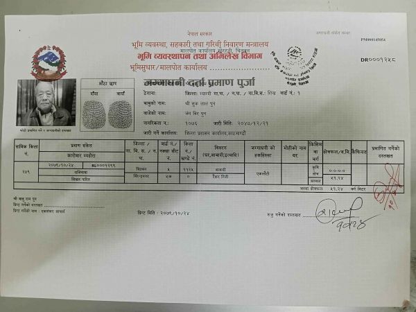 3 BIGA 5 KHATTA, 12 DURR. LAND FOR SALE. 