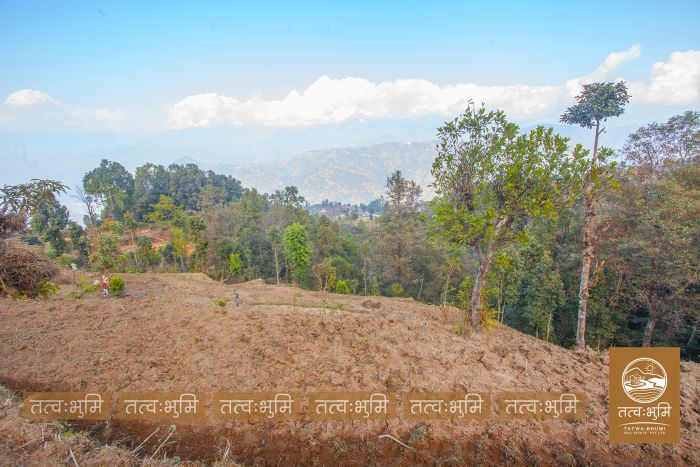 6 Ropani Land On Sale at KhariBhanjyang , Nuwakot