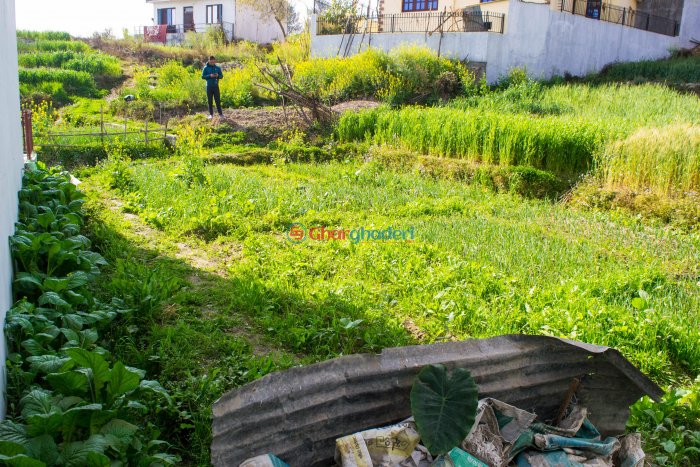 5 anna land for sale in Basbari 7 Changunarayan Bhaktapur