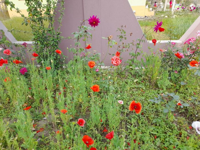 Brand New house in Belbari for sale