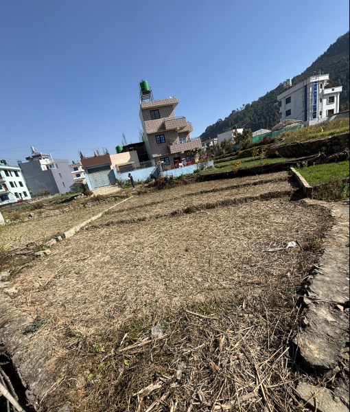 ? ????? ???????? – ??????????? ?????????–?? (?????? ??? ?????)