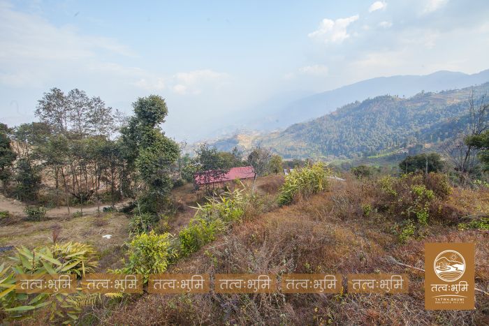 6 Ropani land on sale Lamagau, Kakani - Nuwakot.