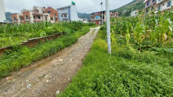 4 aana land for sale in Dahachowk height 4 aana land for sale in Dahachowk height