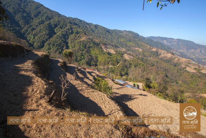 4 Ropani Land On Sale at KhariBhanjyang , Nuwakot.