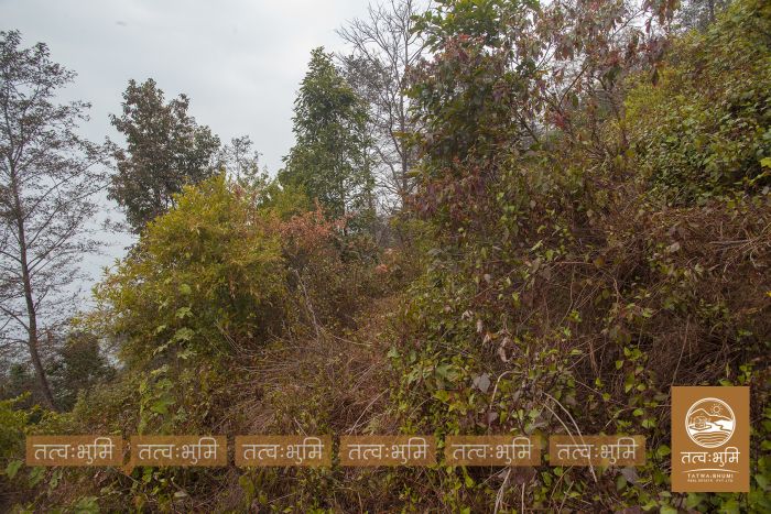 10 Ropani land in Ranipauwa for Sale.