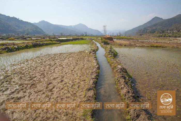 2 Ropani land near Chahare, Nuwakot on Sale