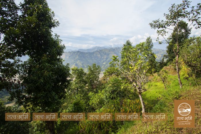 3 Ropani land for sale Katheri, Nuwakot.