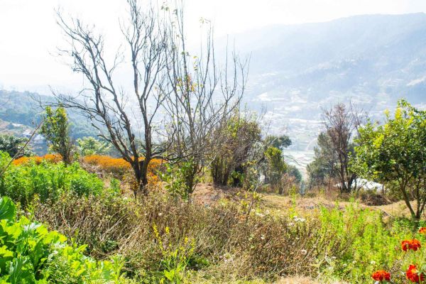 30 aana land for sale in Ramkot 8 Dadapauwa Nagarjun