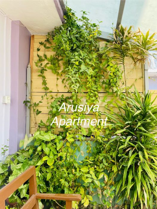 1BHK & 2BHK Apartment Rent at Boudha