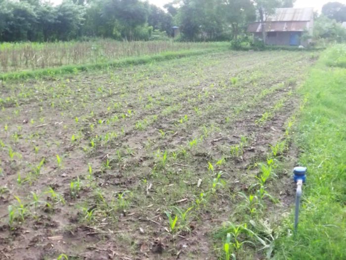 Land for sale in urgent in 37 lakh ma 40 45 lakh ko land