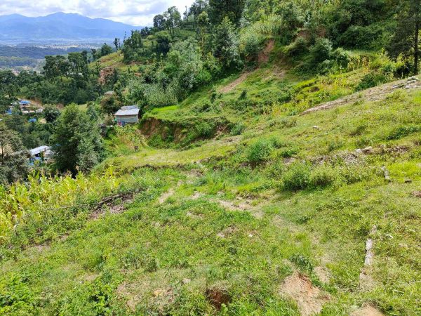 Urgent Land sell in Gokarneshwar Ktm