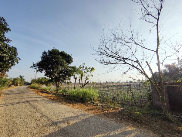 Land For Sale Rapti-8 Chitwan