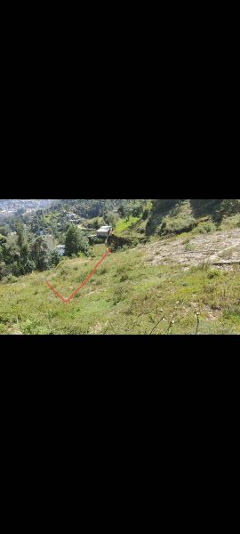 Urgent Land sell in Gokarneshwar Ktm