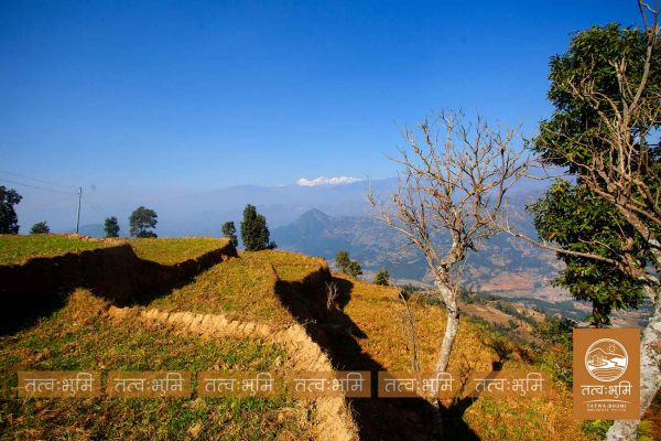 22 Ropani land for sale in Narayanthan - Nuwakot.