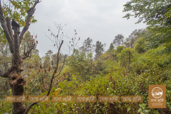 10 Ropani land in Ranipauwa for Sale.