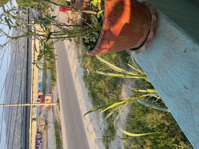 Gangalal highway kathmandu (opposite to sanjay petrol pum)