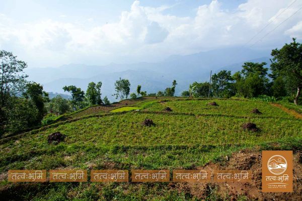 8 Ropani land for saie at Mathbhanjyag nuwakot.