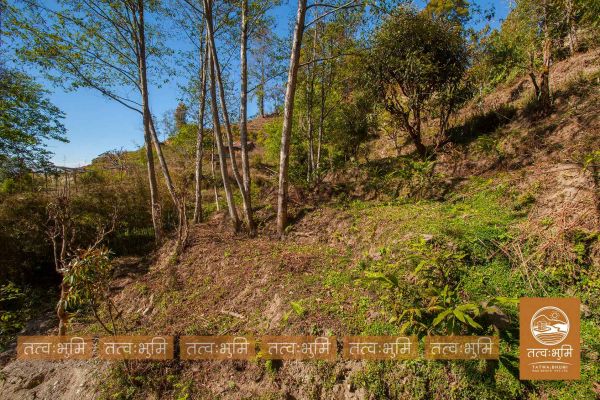1 Ropani land for sale in KhariBhanjya - Nuwakot.