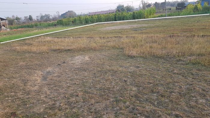 Land sale for housing or agriculture in a friendly and fresh environment.