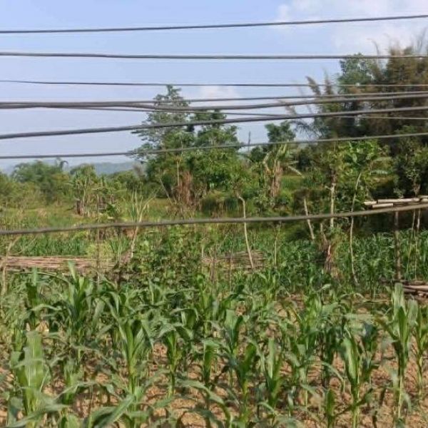 Prime Commercial Highway Front Land for Sale