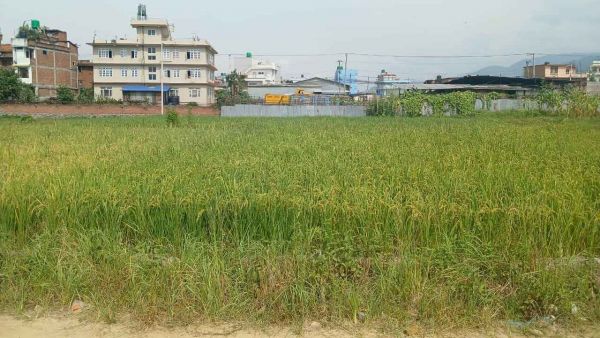 Land On Sale at Harisiddhi Gumbaj , Lalitpur