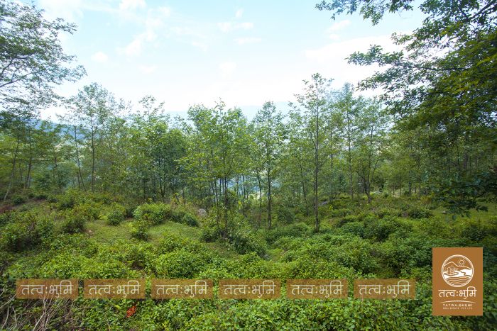 10 Ropani land on sale Ranipauwa, Kakani - Nuwakot