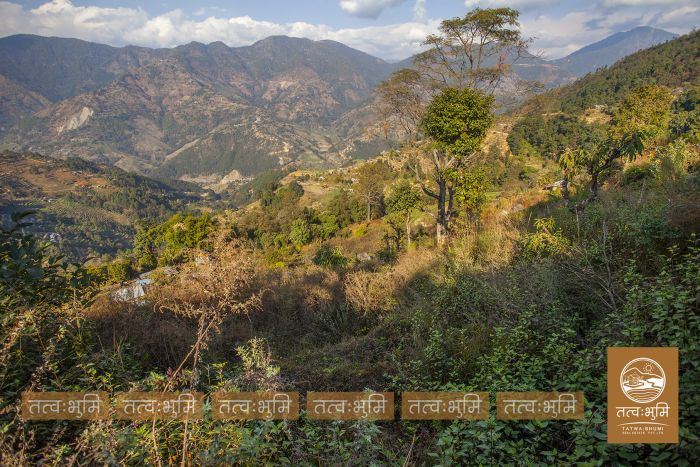 6 Ropani land on sale in Pudibhanjyag, Nuwakot