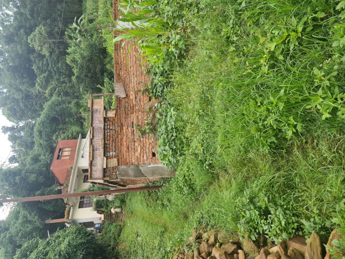 Land for sale at chandragiri 13 purano naikap