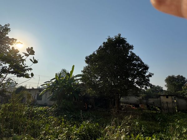 Land and house sell on Dhangadi 1 puspalalchwok 