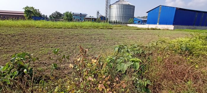 Land for sale in the heart of Chitwan