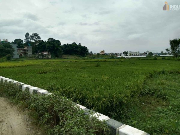 Land On Sale at Lubhu, Chasidol