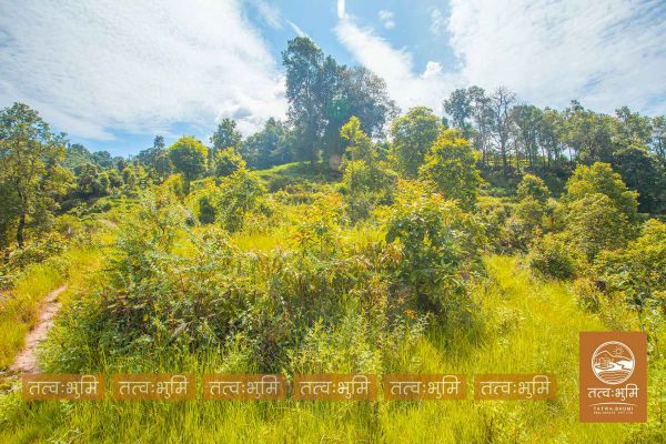 26 Ropani land for sale in Sunkhani - Nuwakot.