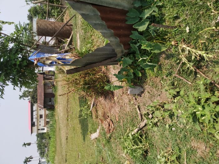 Land for sale, Bhadrapur-07, Jhapa