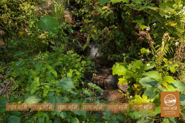 16 Ropani land for sale in Kalleri - Nuwakot.
