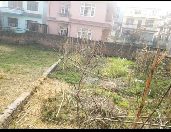 5 aana. Satungal. Chandragiri-11.. Sangam basti..