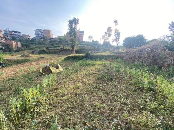 land on sale