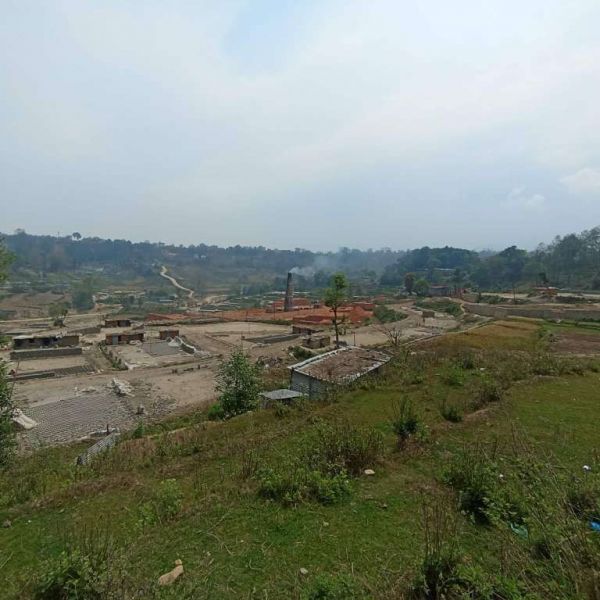 Land for sale in champi tatal land 5 ana 