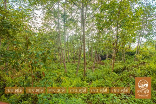 5 Ropani land for sale in Ranipauwa - Nuwakot