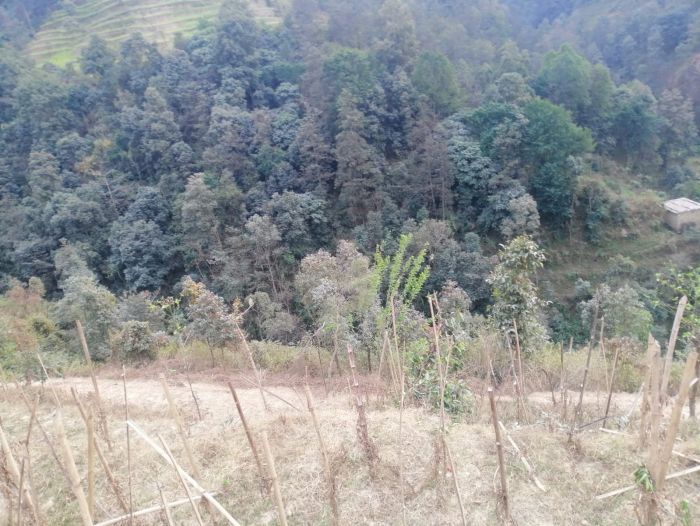 Dhulikhel Land
