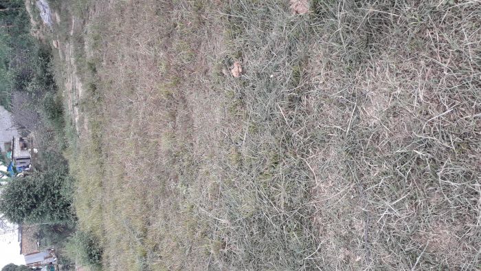 Land for sale at dhulikhel @ 6.5lakh per aana