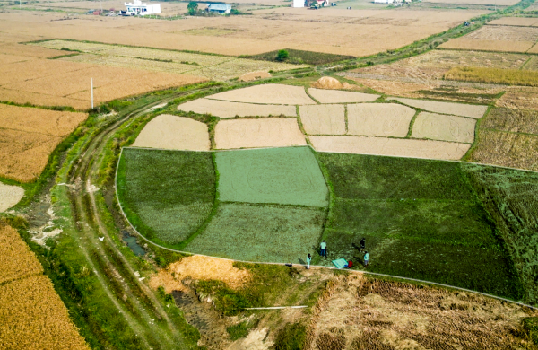 ? Attractive Land for Sale!