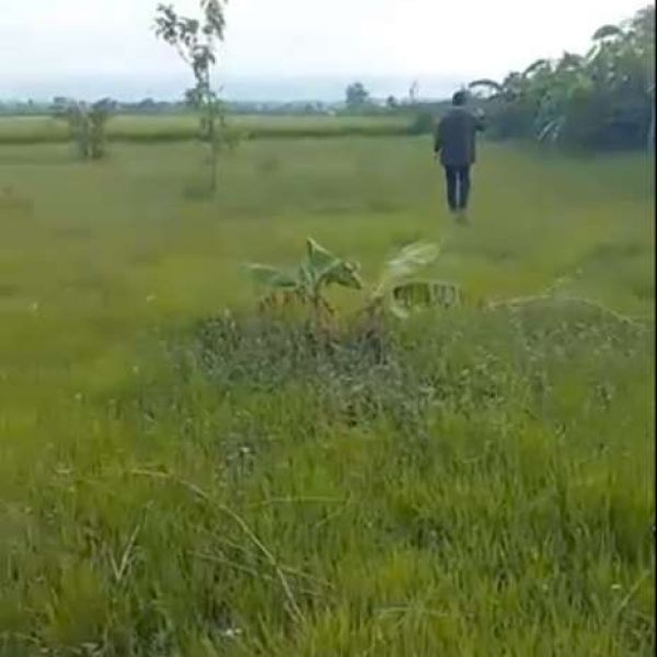 Land for sale at chitwan kumroj