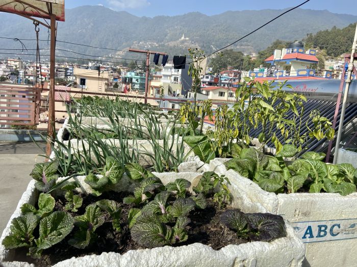 Beautiful Bungalow House for Sale in Budhanilkantha