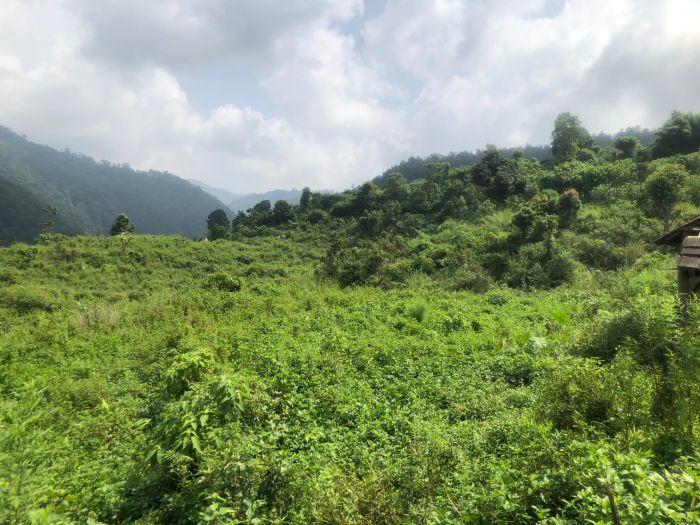 Commerial/Agricultural land for sale in Nawalparasi Commerial/Agricultural land for sale in Nawalparasi
