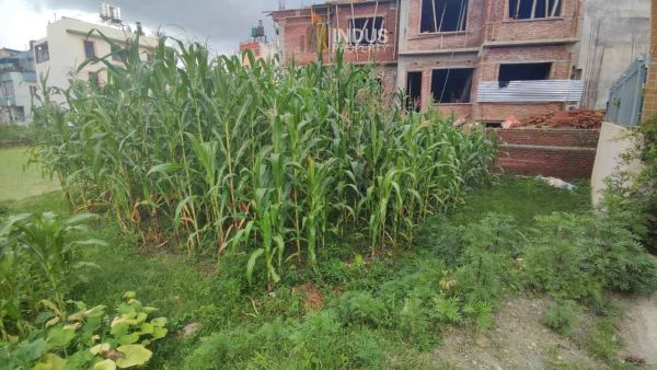 Land on sale at Ochu height, Imadol