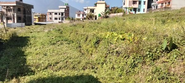 Prime Location Land with Road Access &amp; All Utilities