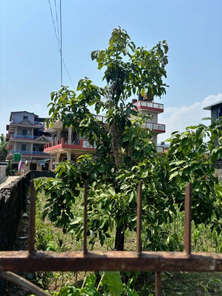 POKHARA Machapuchare marg prime location