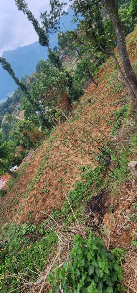 1 Ropani 4 Land Plots For Sale – Dhachowk, Thankot, Kathmandu